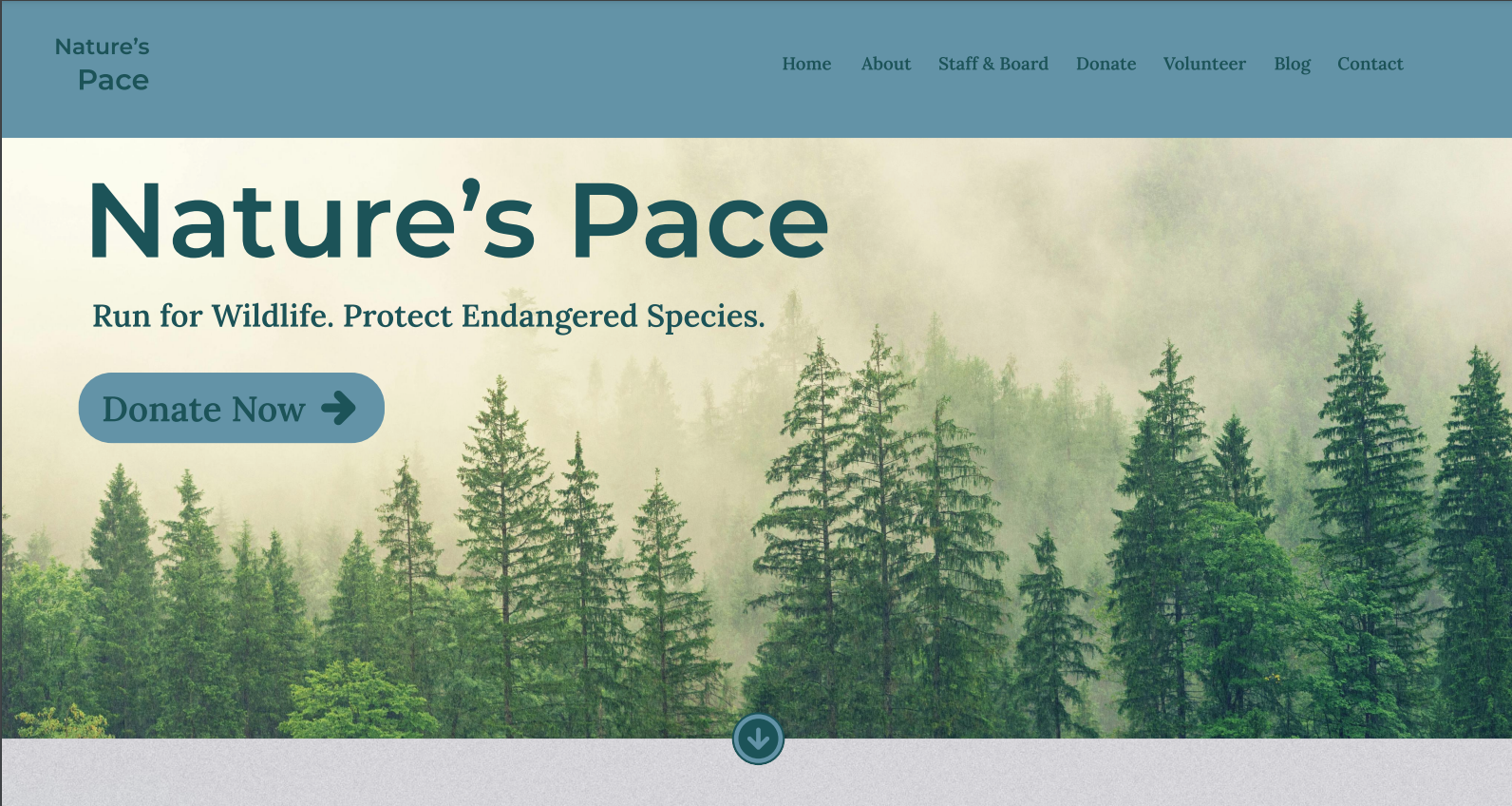 Image of a webpage design